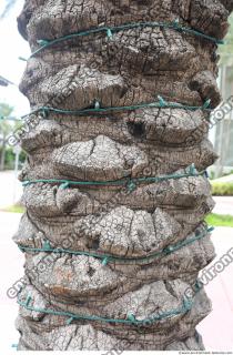 Photo of Mixed Miami Textures